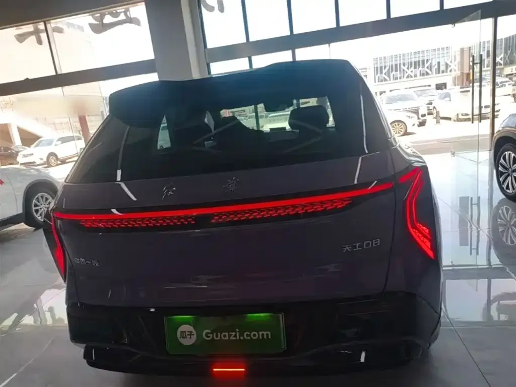 Hongqi Tiangong 08 2025 из CN, фото 3