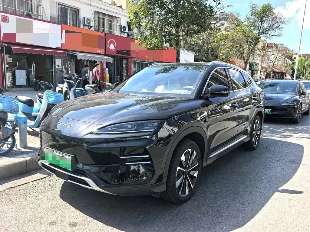BYD PLUS New Energy — фото 1