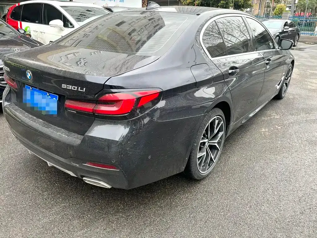 BMW 5 Series 2022 из CN, фото 4