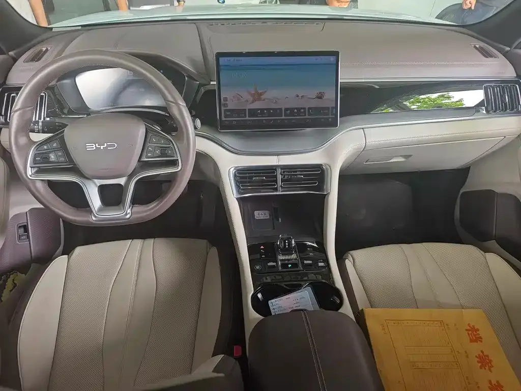 BYD PLUS New Energy — фото 10