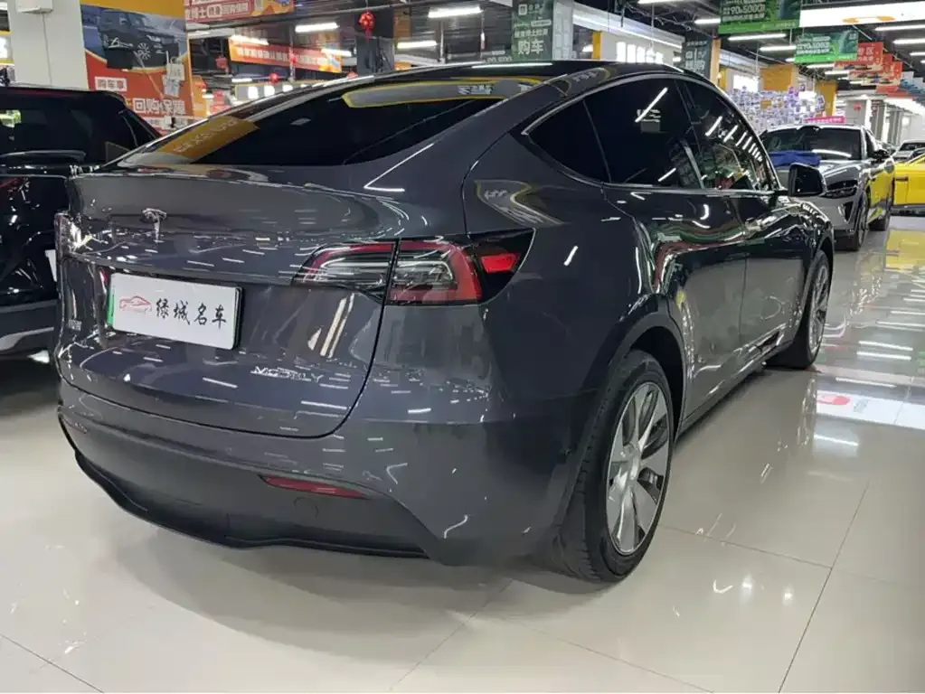 Tesla Model Y — фото 9