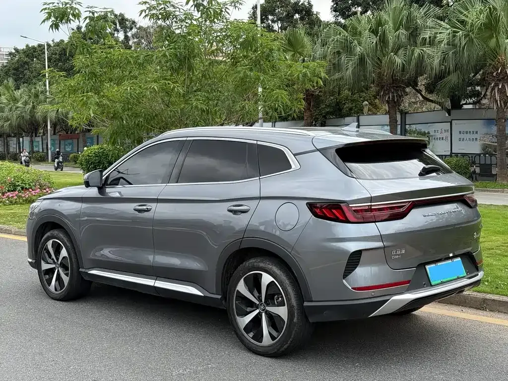 BYD PLUS New Energy 2022 из CN, фото 10