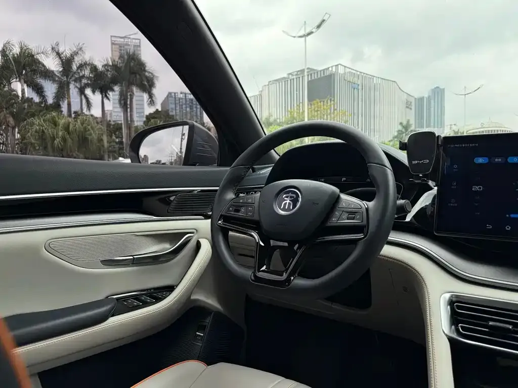 BYD PLUS New Energy 2022 из CN, фото 2