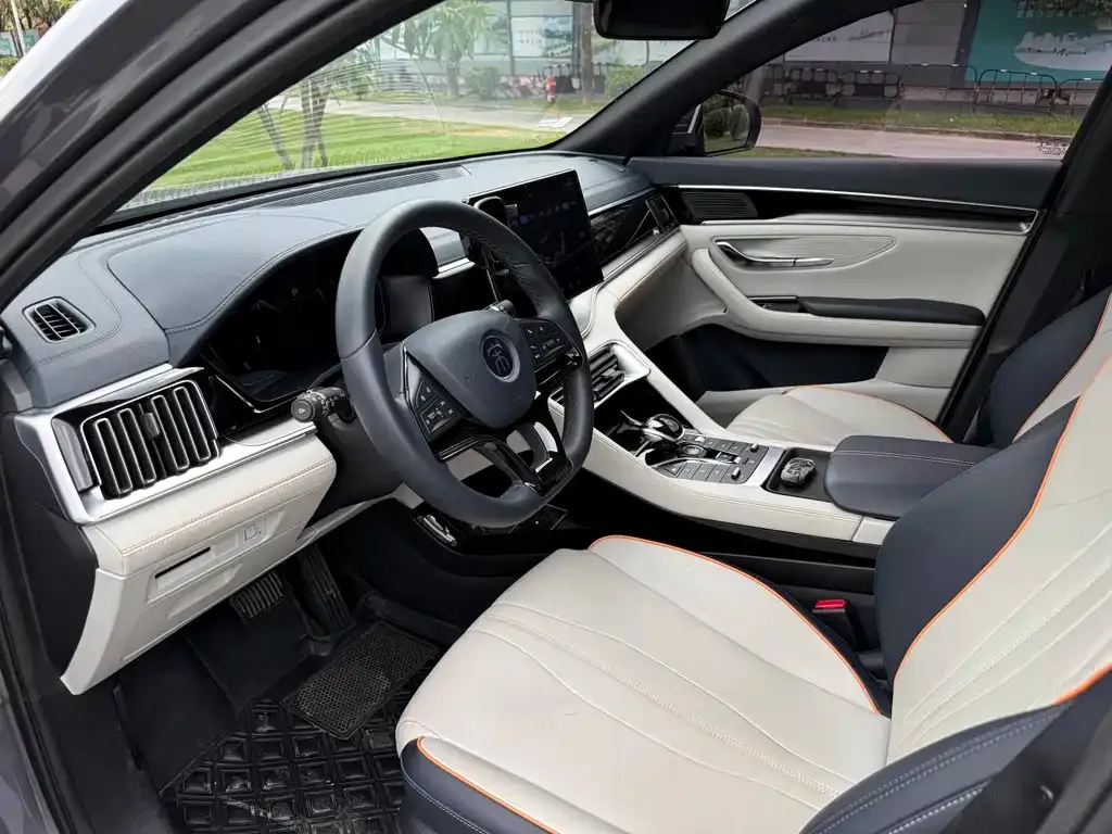 BYD PLUS New Energy 2022 из CN, фото 4