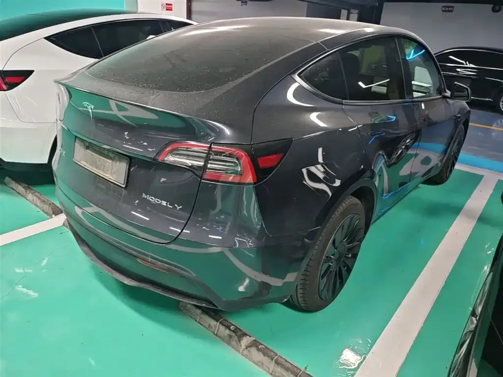 Tesla Model Y — фото 3