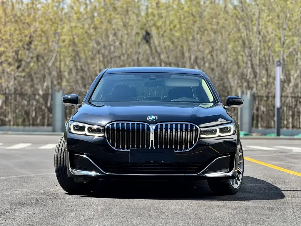 BMW 7 Series 2022 из CN, фото 5