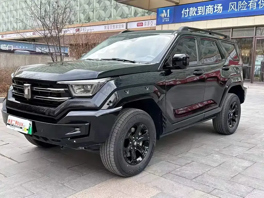Tank 400 New Energy 2024 из CN, фото 4