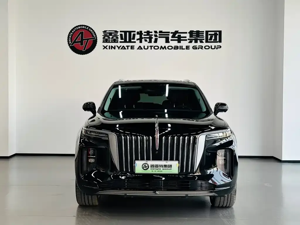 Hongqi E-HS9 — фото 9