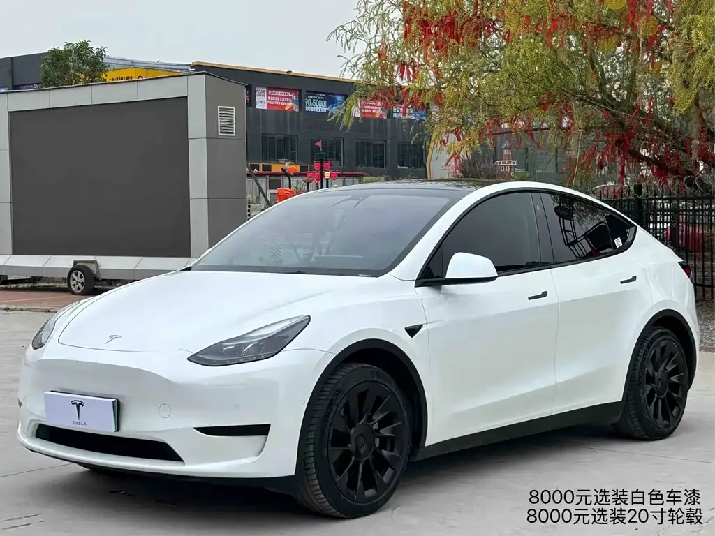 Tesla Model Y — фото 1
