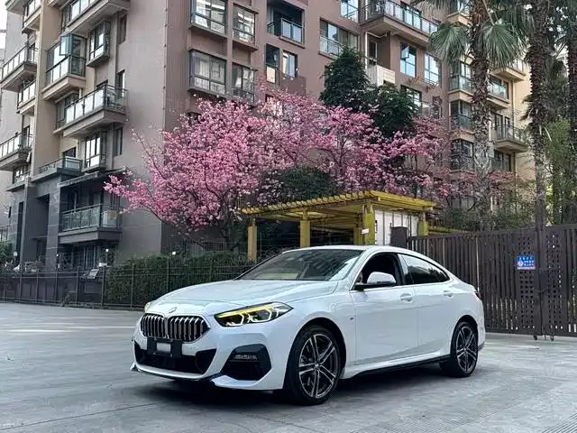 BMW 2 Series (Import) — фото 1