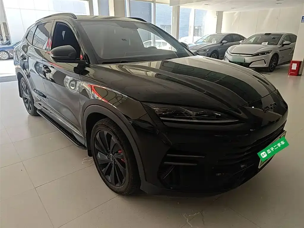 BYD PLUS New Energy 2024 из CN, фото 4