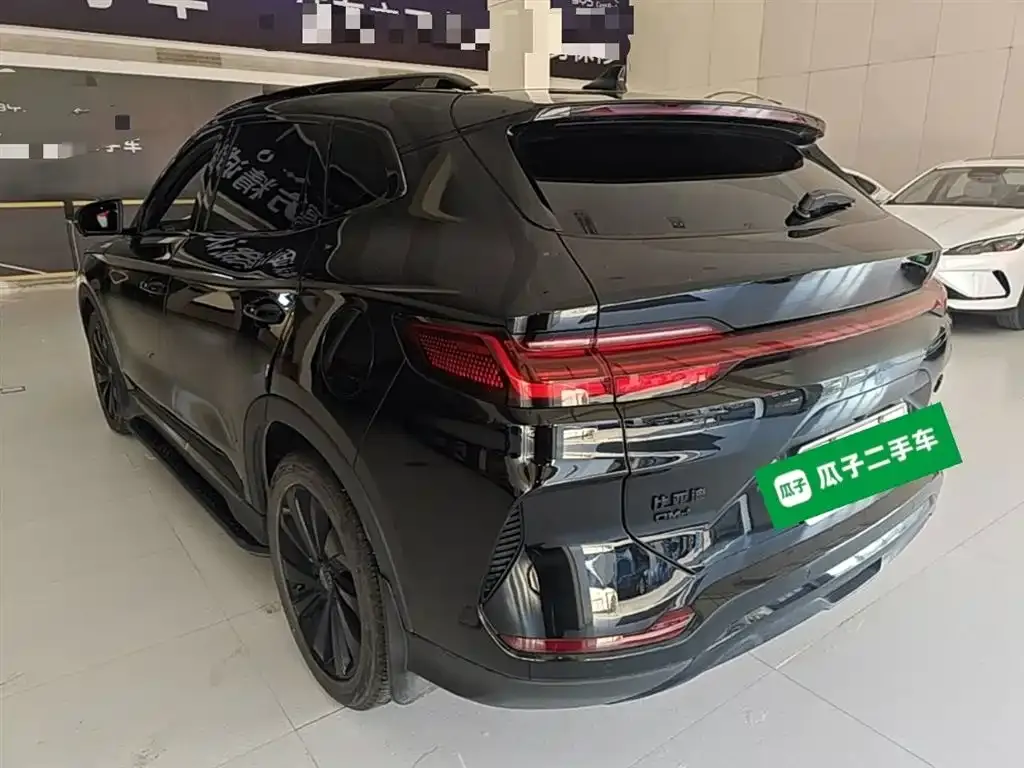 BYD PLUS New Energy 2024 из CN, фото 6