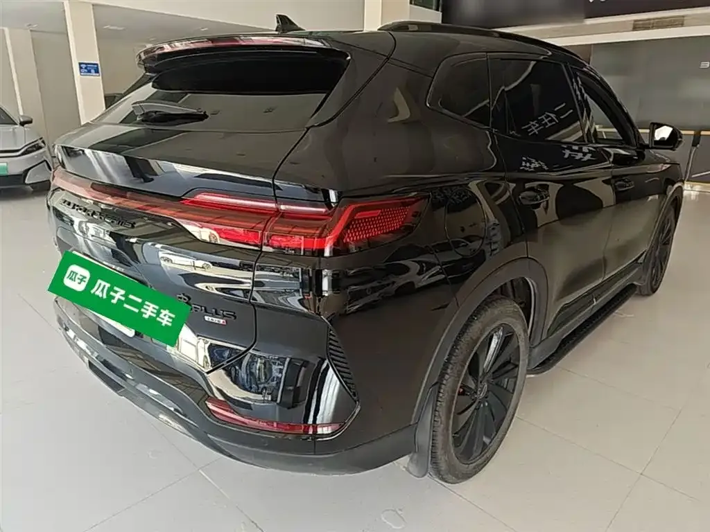 BYD PLUS New Energy 2024 из CN, фото 2