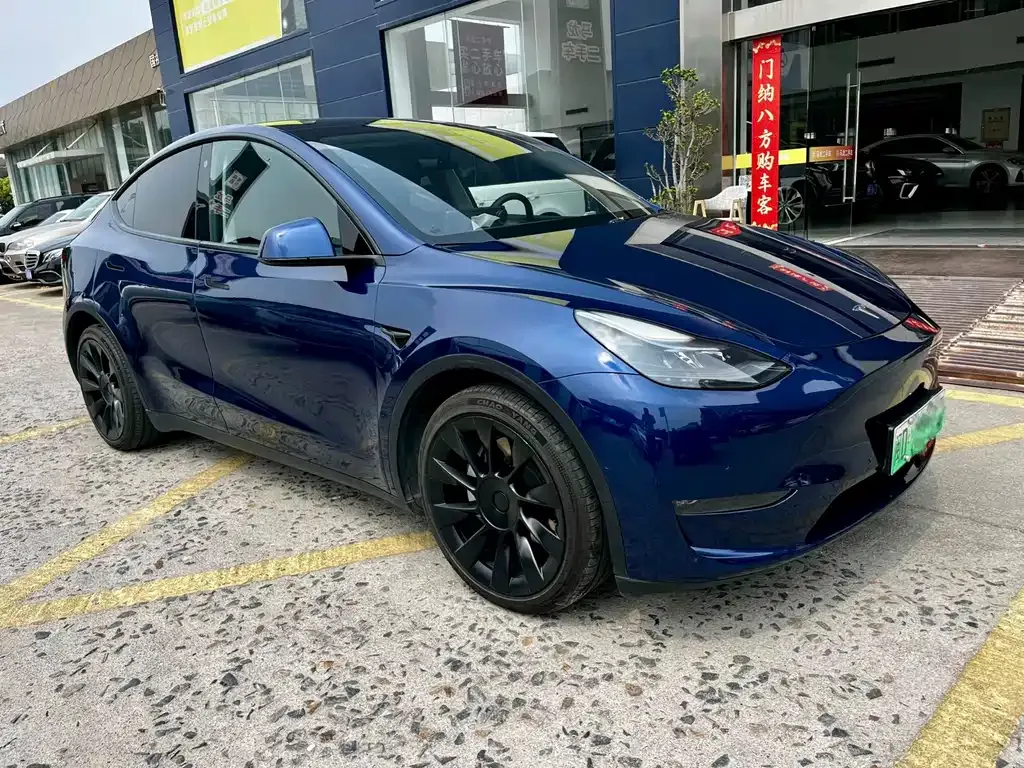 Tesla Model Y — фото 9