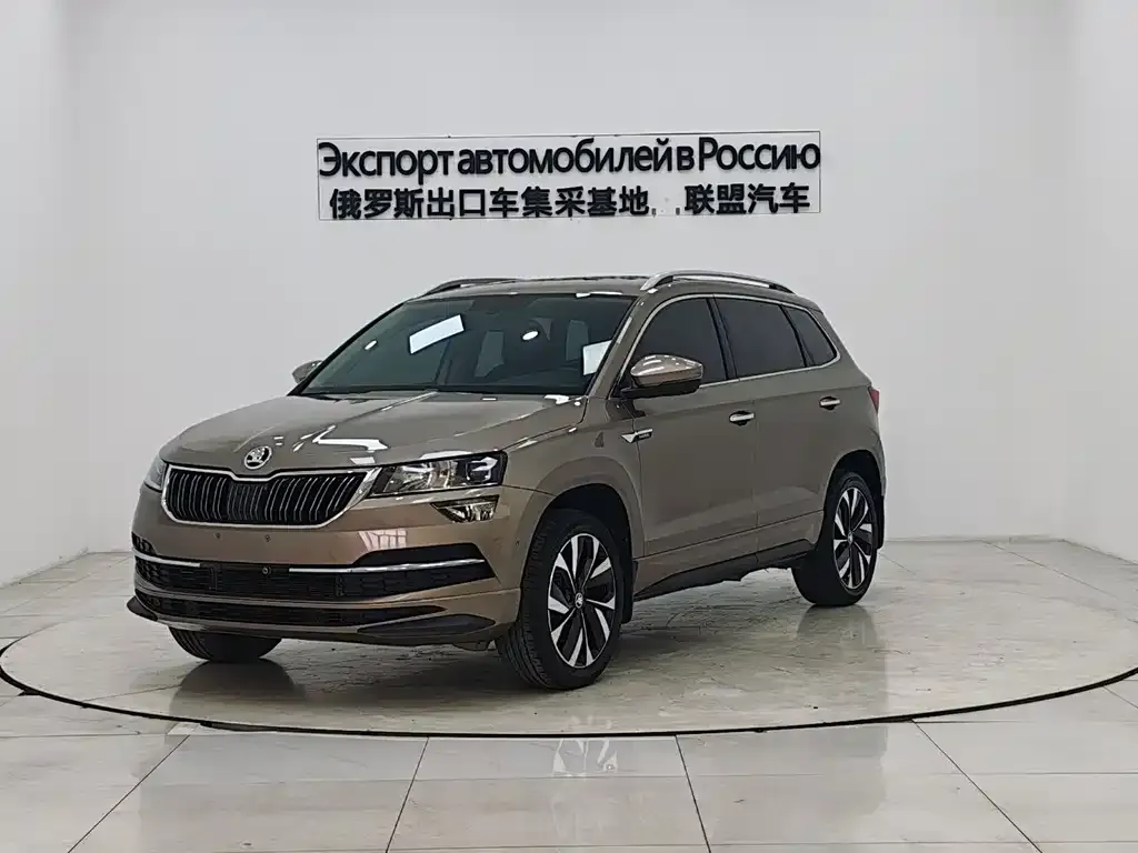 Skoda Karoq 2022 из CN, фото 1