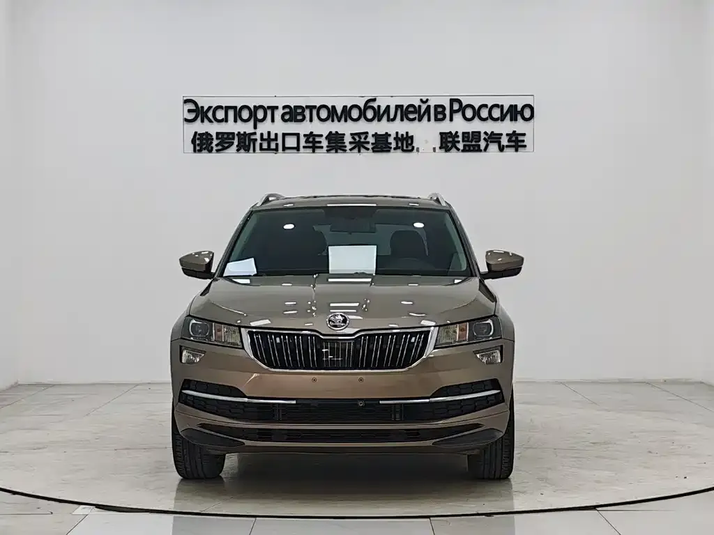 Skoda Karoq 2022 из CN, фото 3