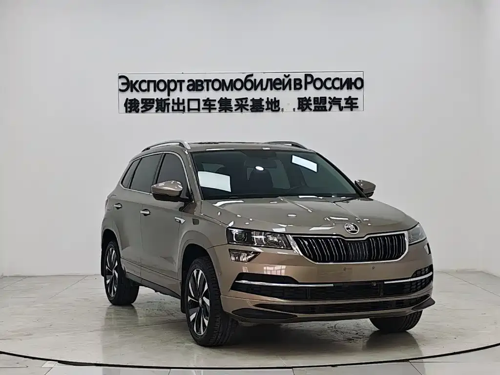 Skoda Karoq 2022 из CN, фото 9