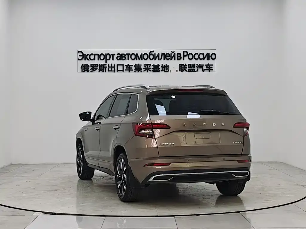 Skoda Karoq 2022 из CN, фото 2