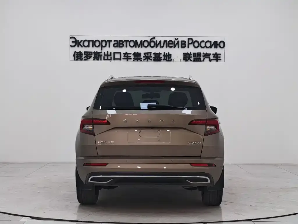 Skoda Karoq 2022 из CN, фото 10