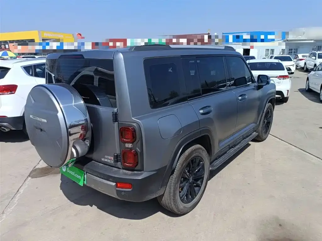 Haval Menglong New Energy 2025 из CN, фото 10