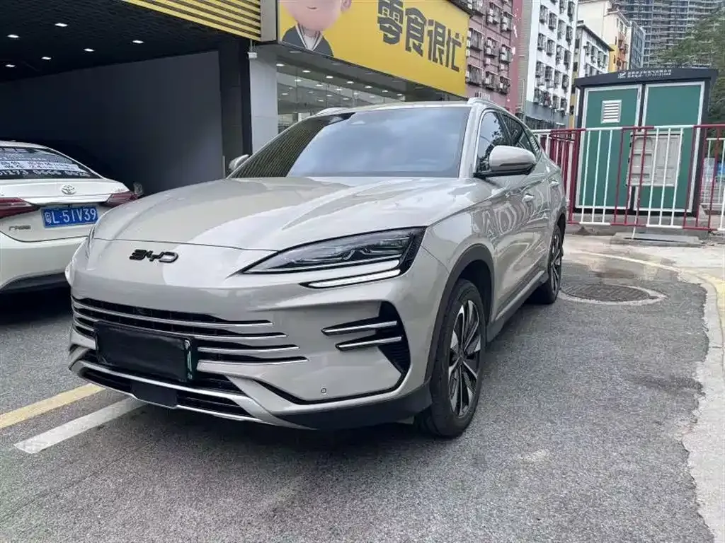 BYD PLUS New Energy — фото 1