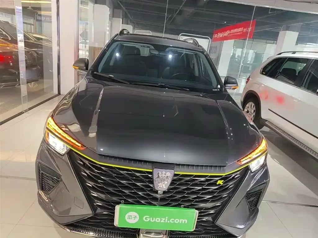 Roewe RX5 New Energy 2022 из CN, фото 10