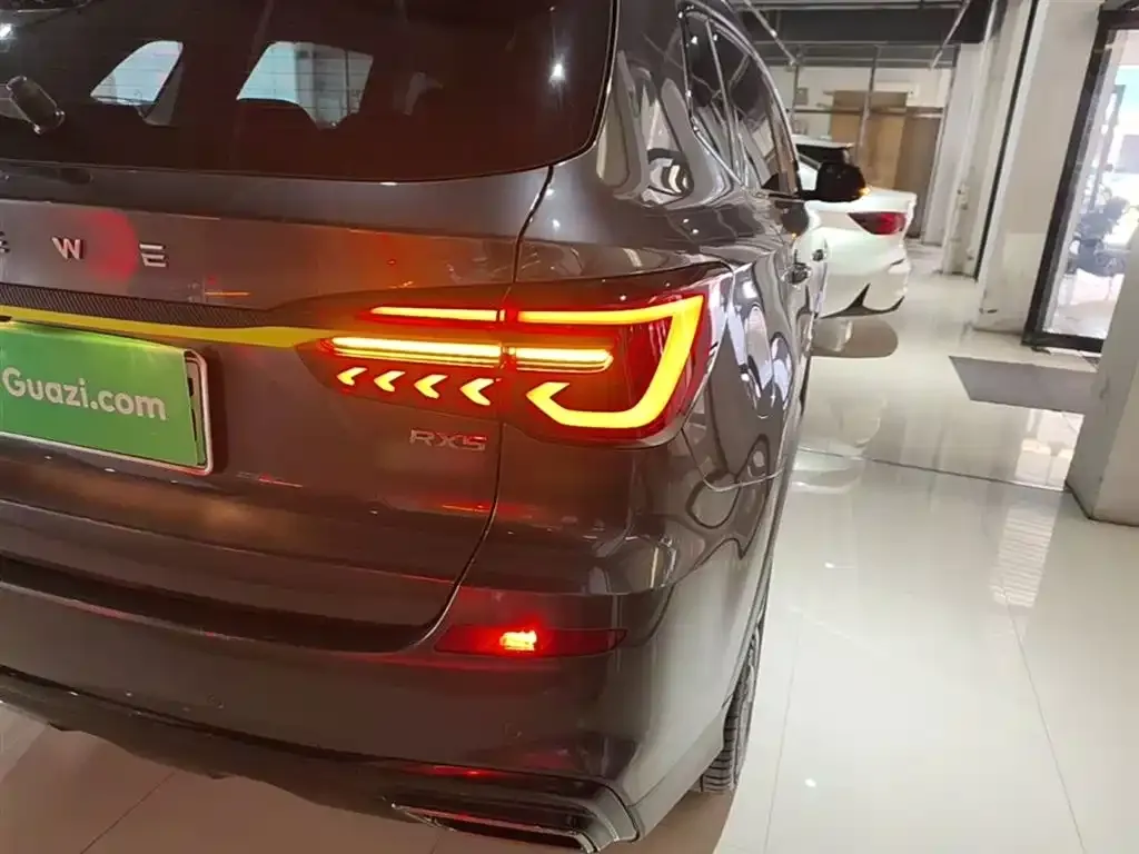 Roewe RX5 New Energy 2022 из CN, фото 5