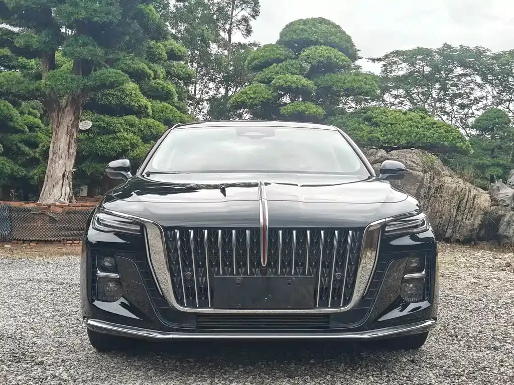 Hongqi H5 — фото 10