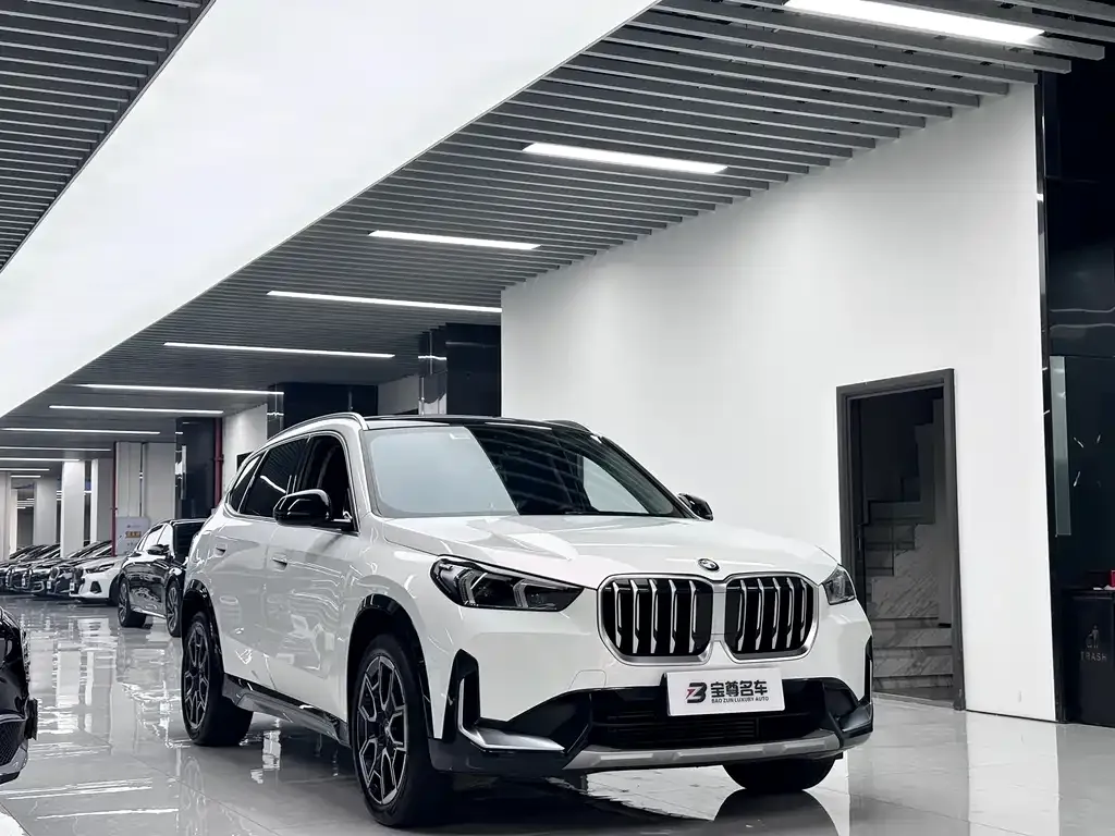 BMW X1 2023 из CN, фото 6