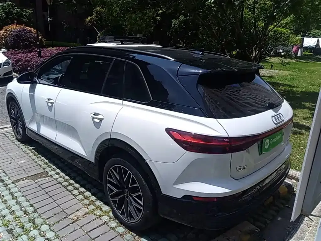 Audi Q5 e-tron 2023 из CN, фото 4