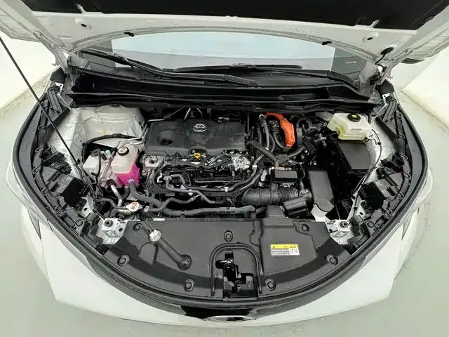 Toyota Sienna — фото 9