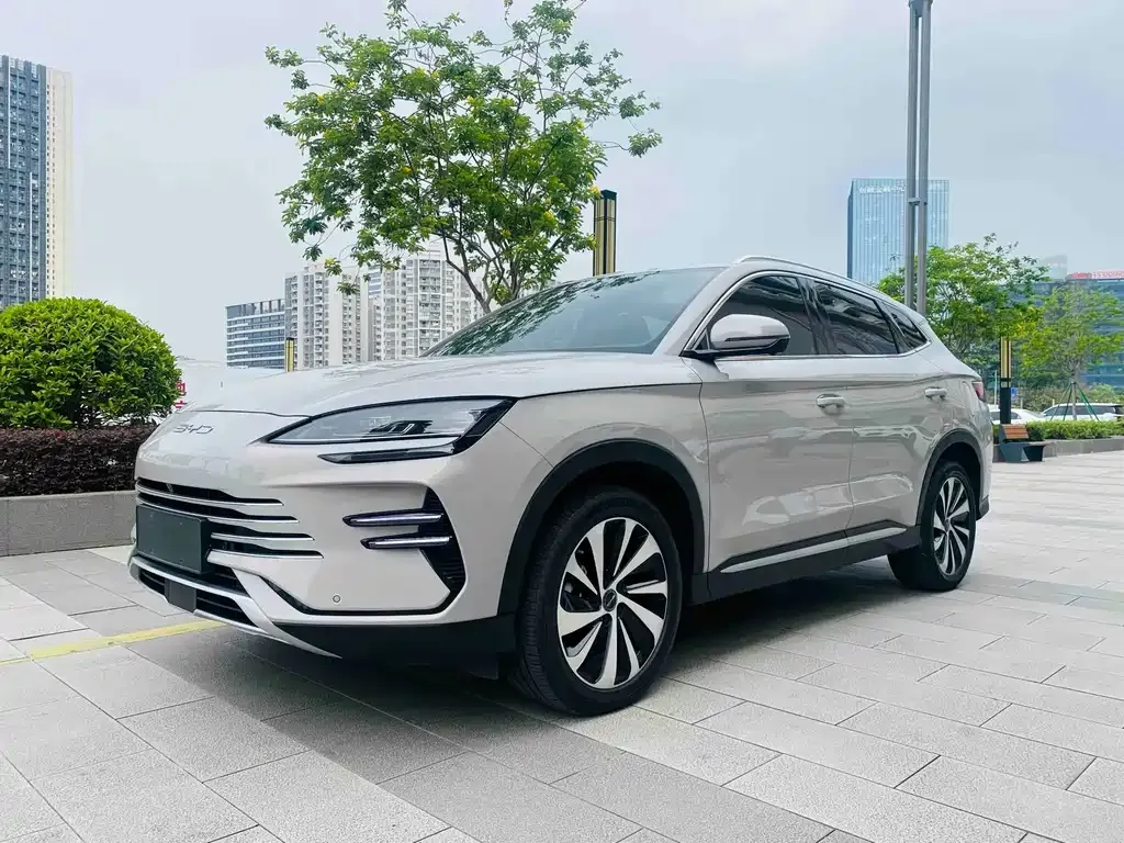 BYD PLUS New Energy — фото 1