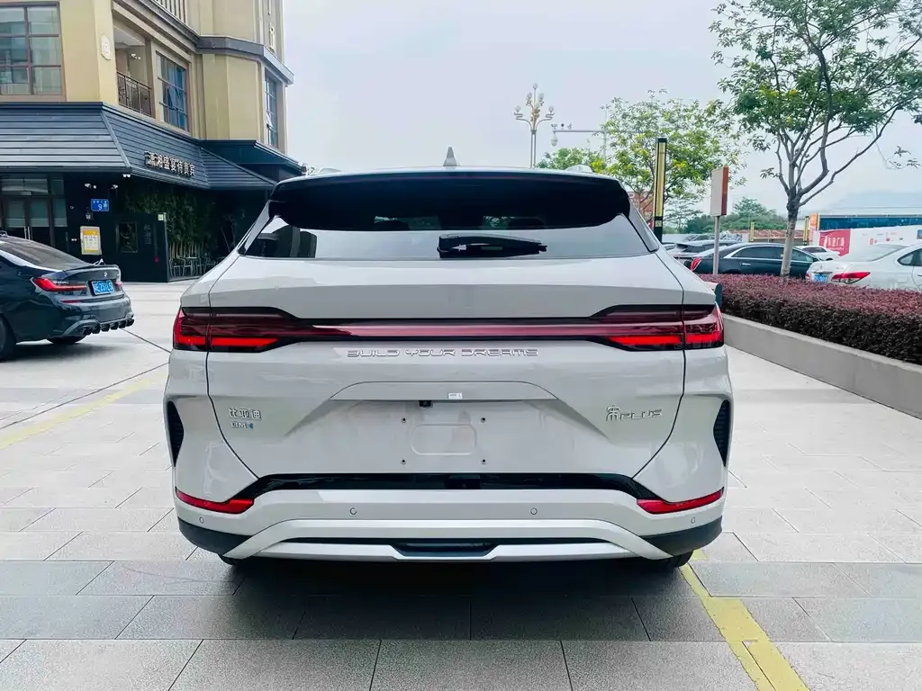 BYD PLUS New Energy — фото 6
