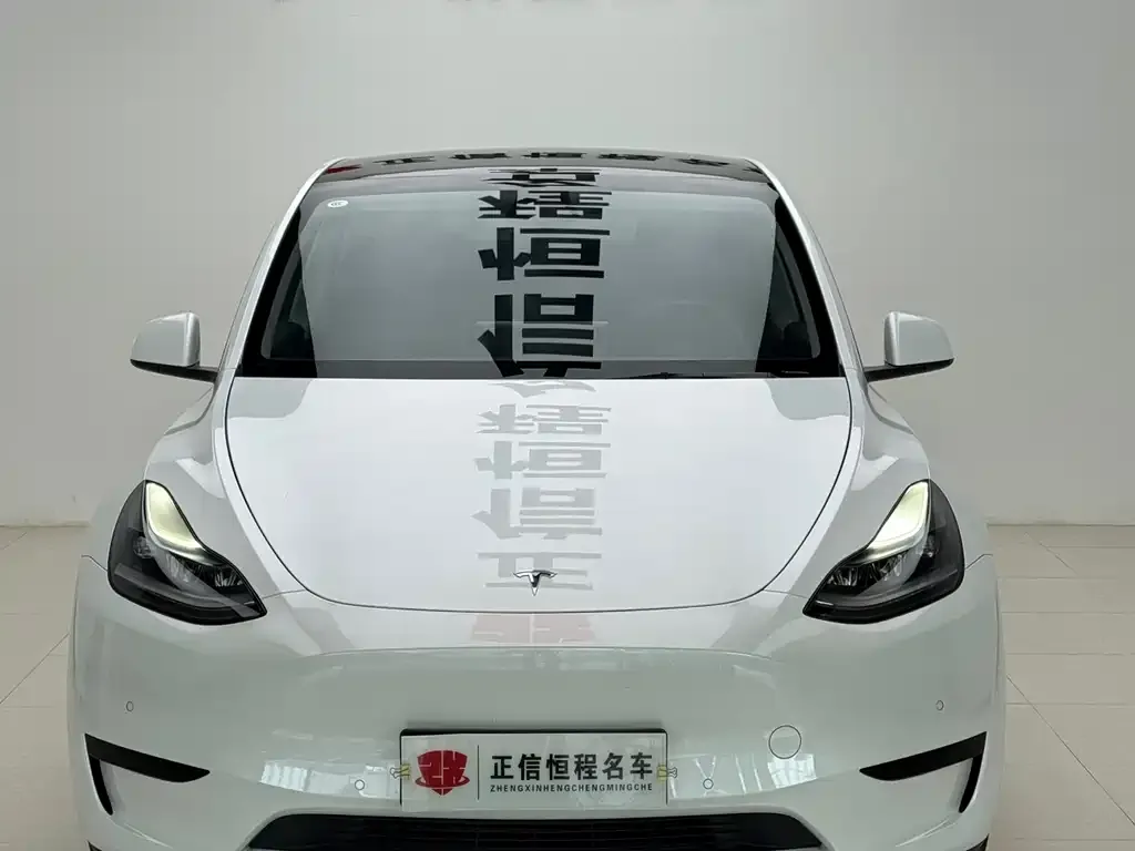Tesla Model Y 2023 из CN, фото 7