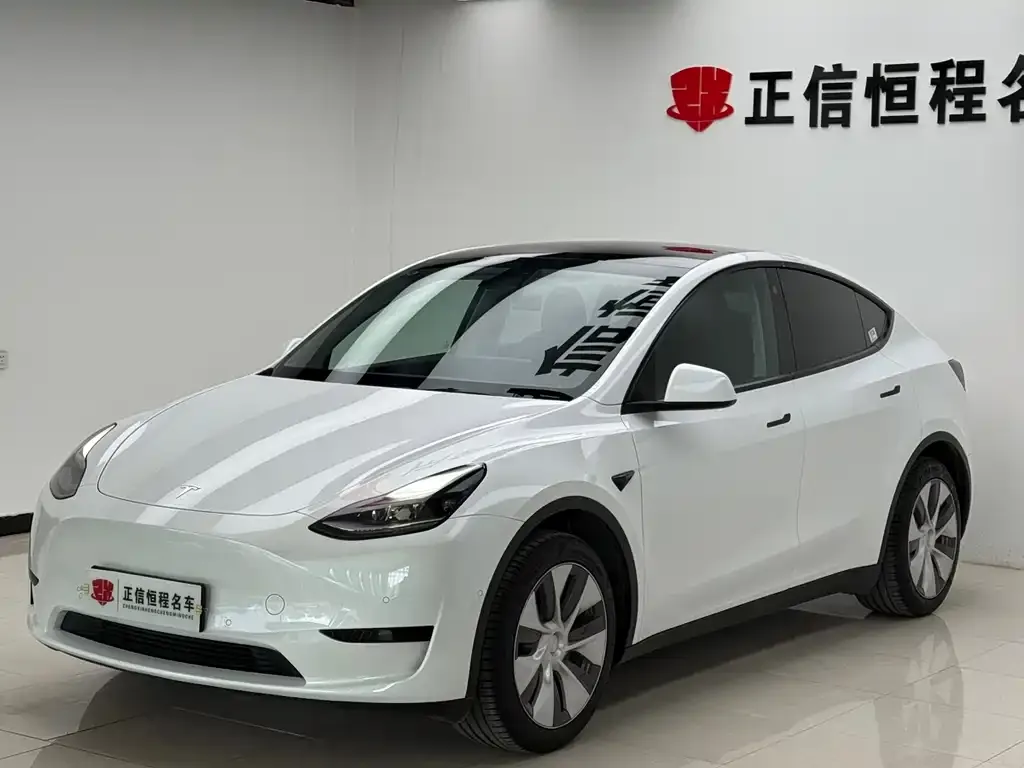 Tesla Model Y 2023 из CN, фото 6