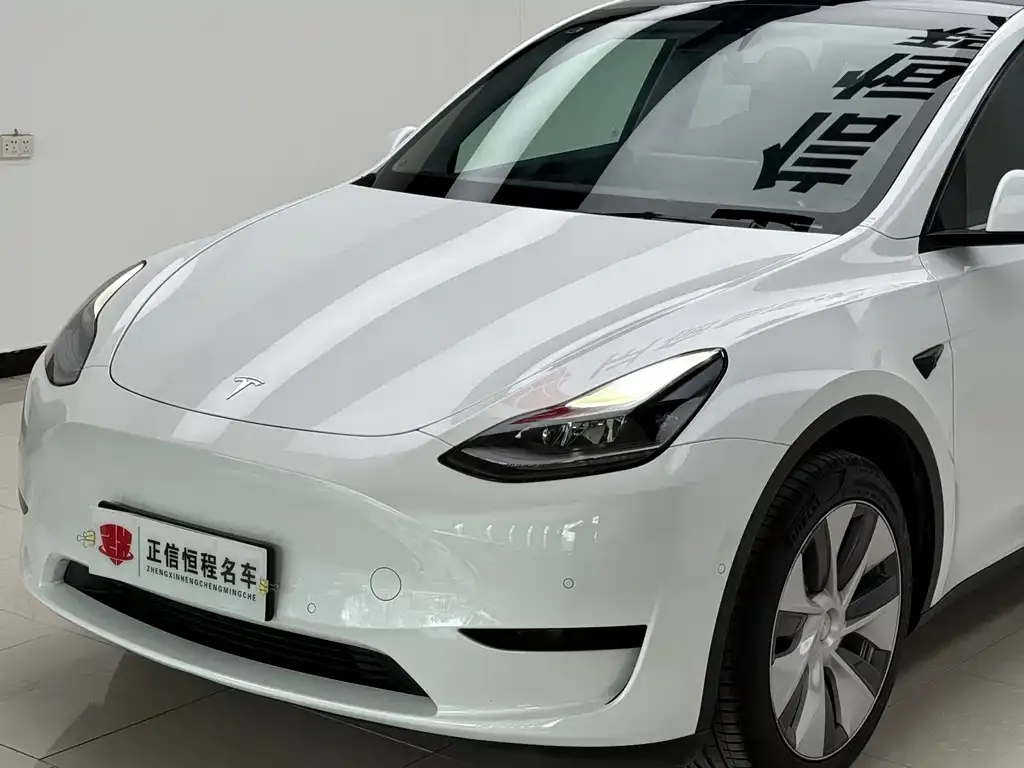 Tesla Model Y 2023 из CN, фото 10