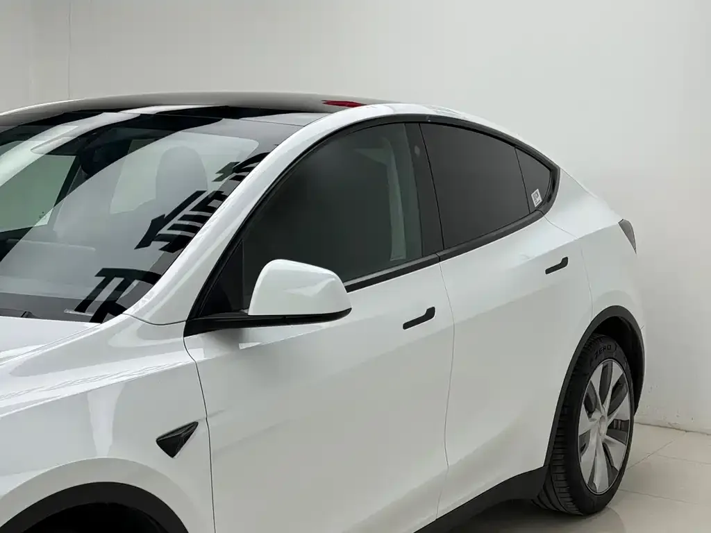 Tesla Model Y 2023 из CN, фото 3