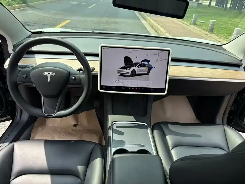 Tesla Model 3 2022 из CN, фото 3
