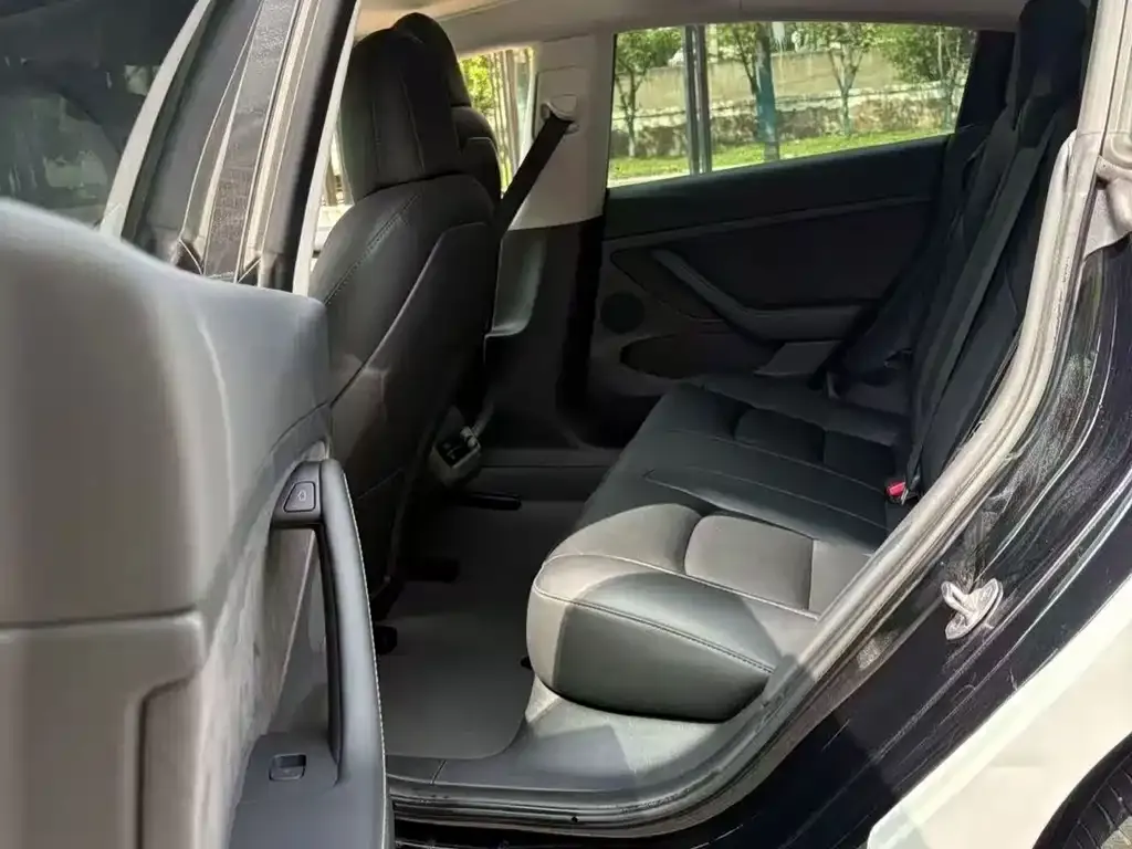 Tesla Model 3 2022 из CN, фото 2
