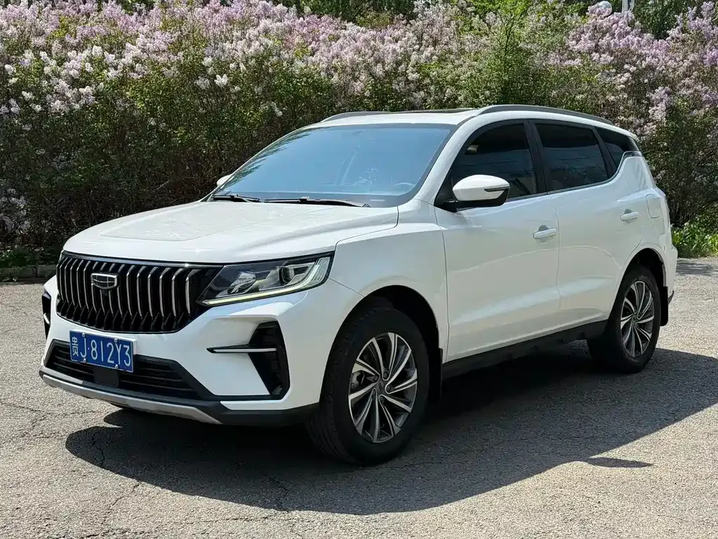 Geely Vision X6 2022 из CN, фото 1