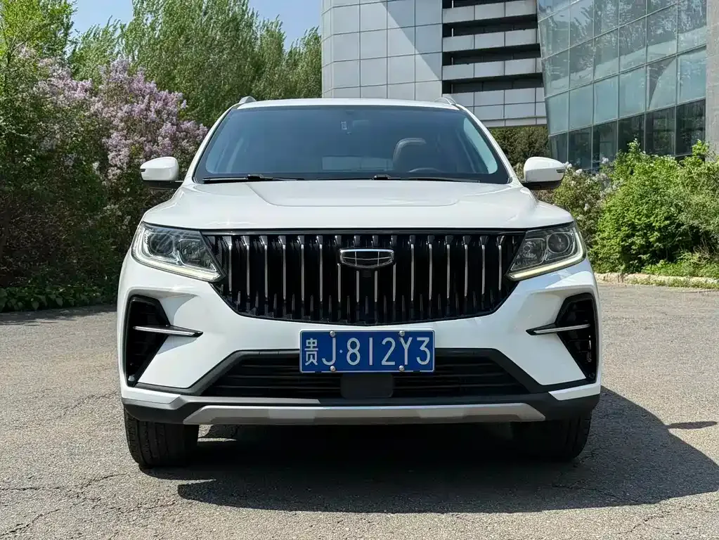 Geely Vision X6 2022 из CN, фото 5