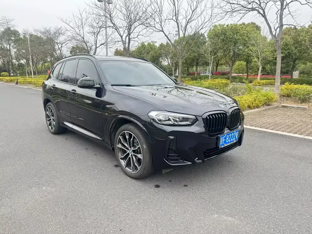 BMW X3 — фото 6