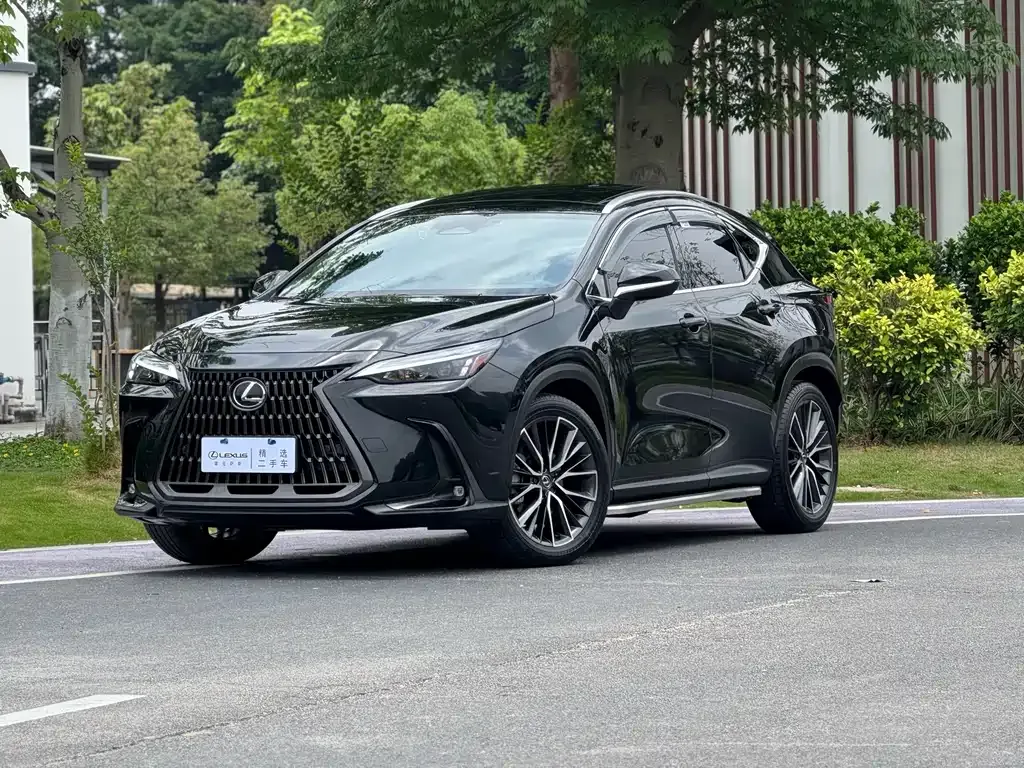 Lexus NX 2023 из CN, фото 1
