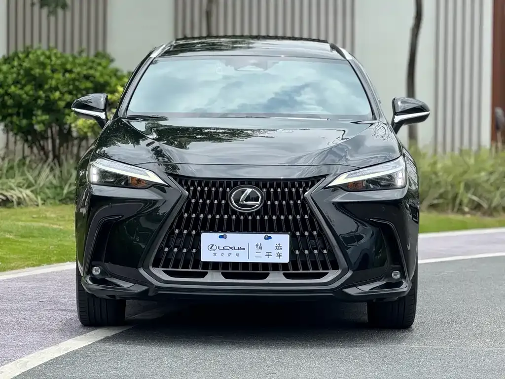 Lexus NX 2023 из CN, фото 9