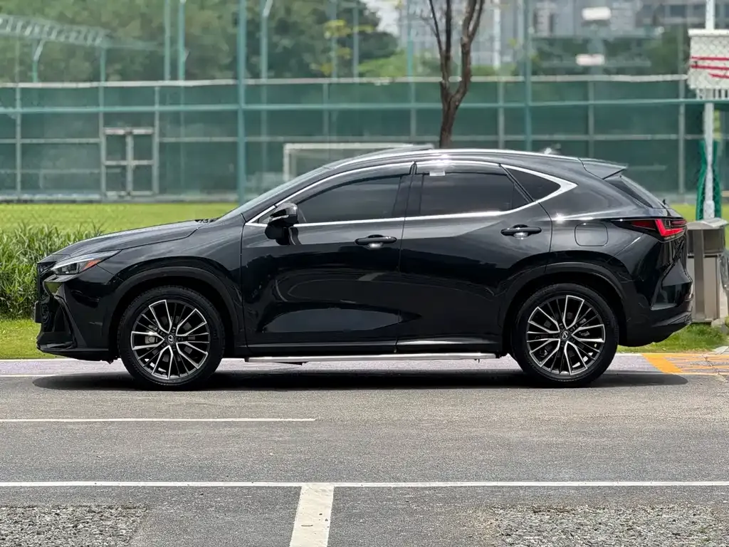 Lexus NX 2023 из CN, фото 4