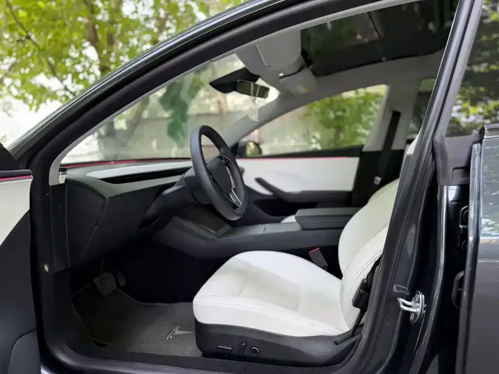 Tesla Model 3 2024 из CN, фото 6