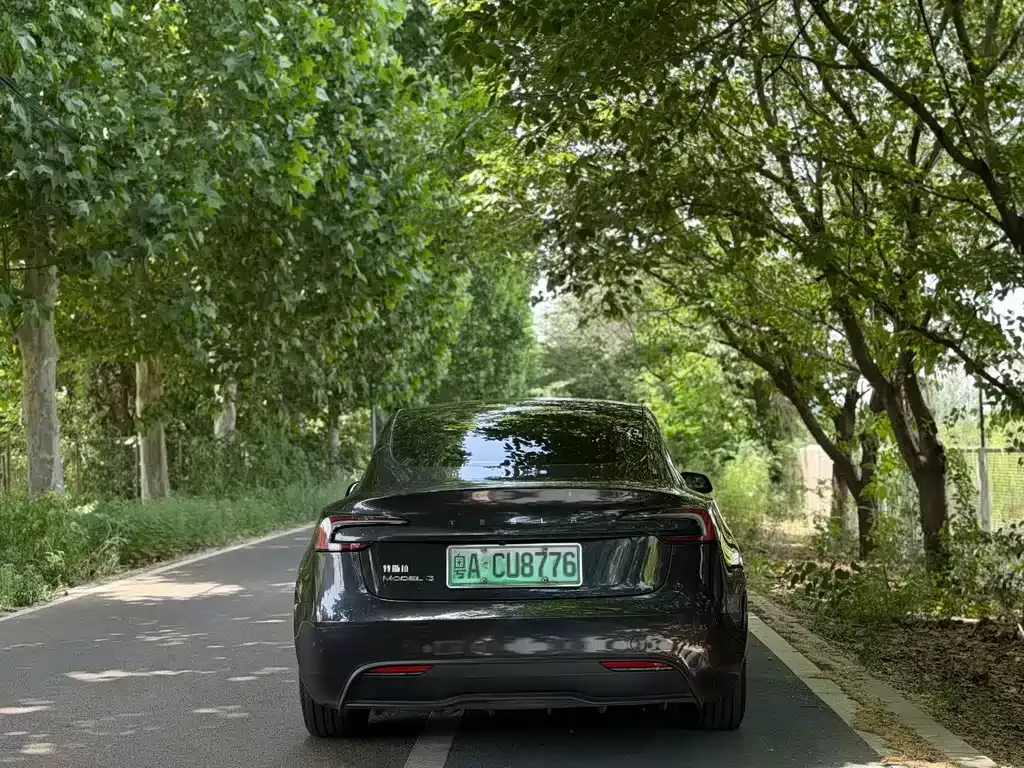 Tesla Model 3 2024 из CN, фото 2