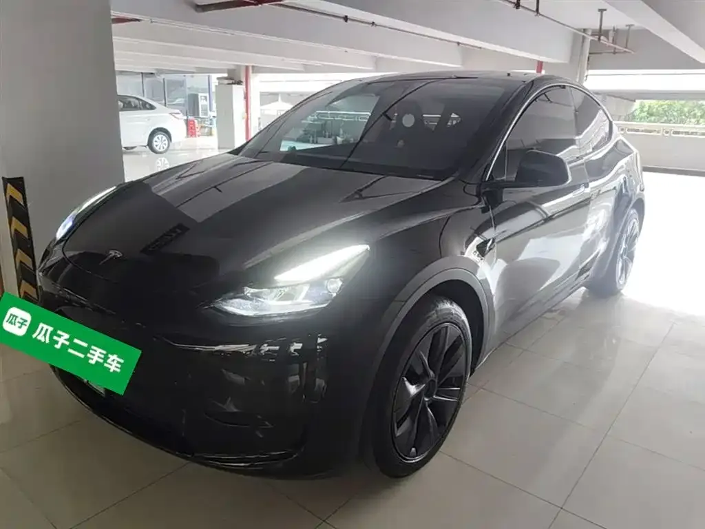 Tesla Model Y — фото 2