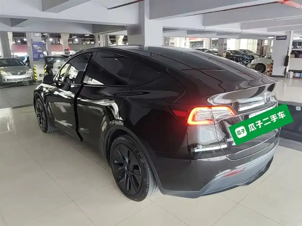 Tesla Model Y — фото 10