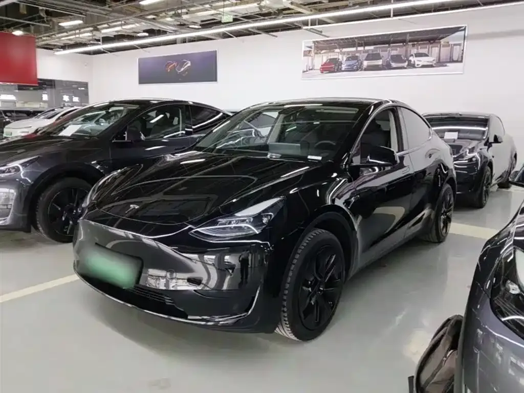 Tesla Model Y — фото 1